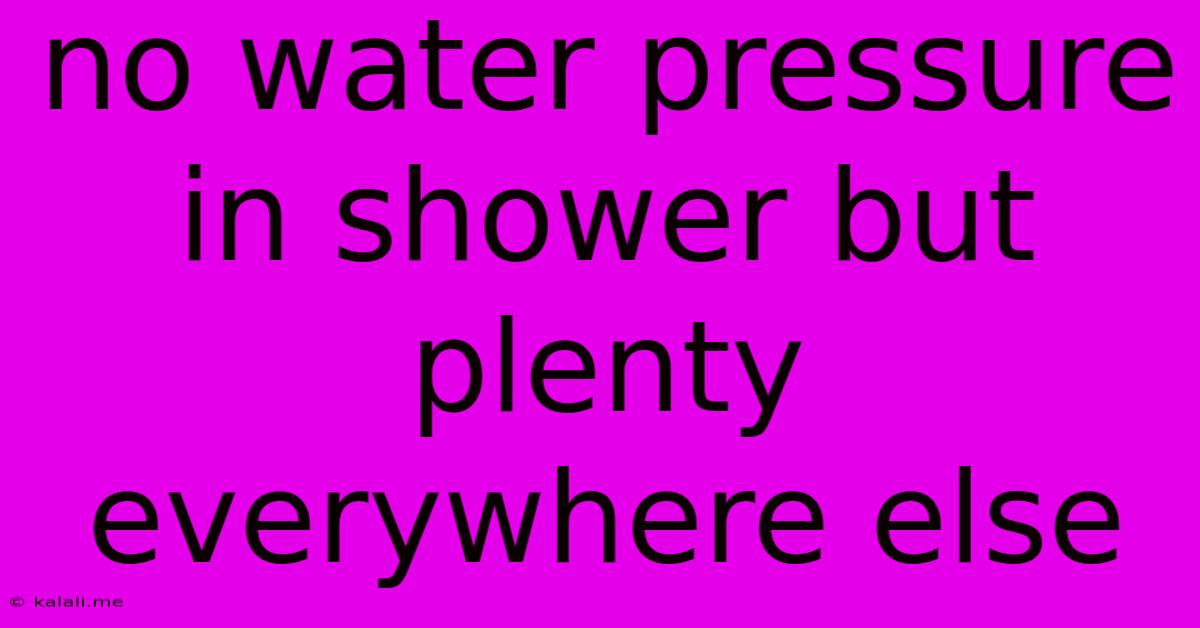 No Water Pressure In Shower But Plenty Everywhere Else