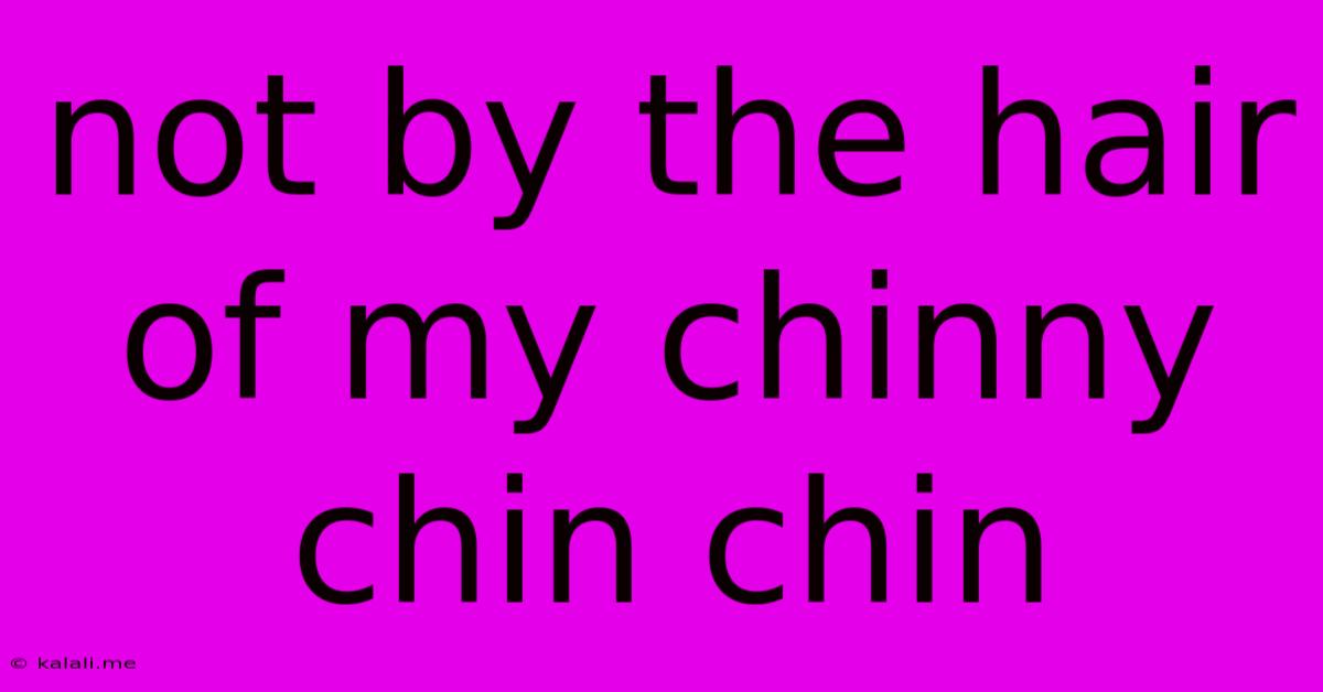Not By The Hair Of My Chinny Chin Chin