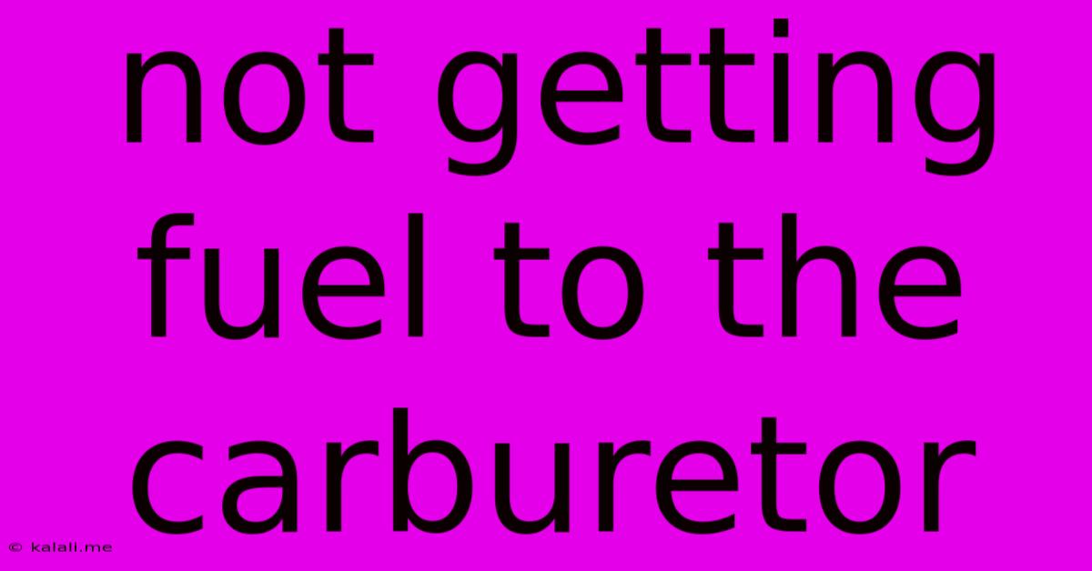 Not Getting Fuel To The Carburetor