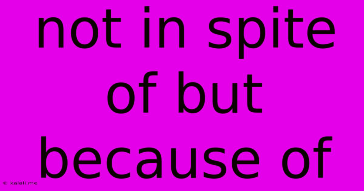Not In Spite Of But Because Of