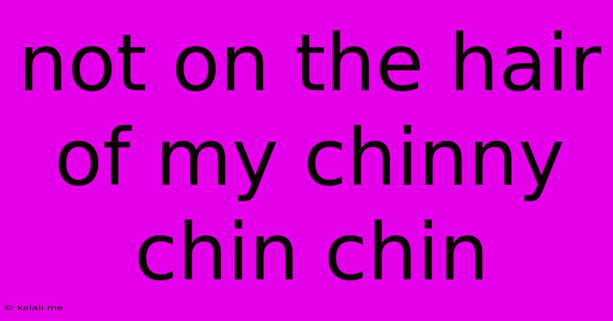 Not On The Hair Of My Chinny Chin Chin