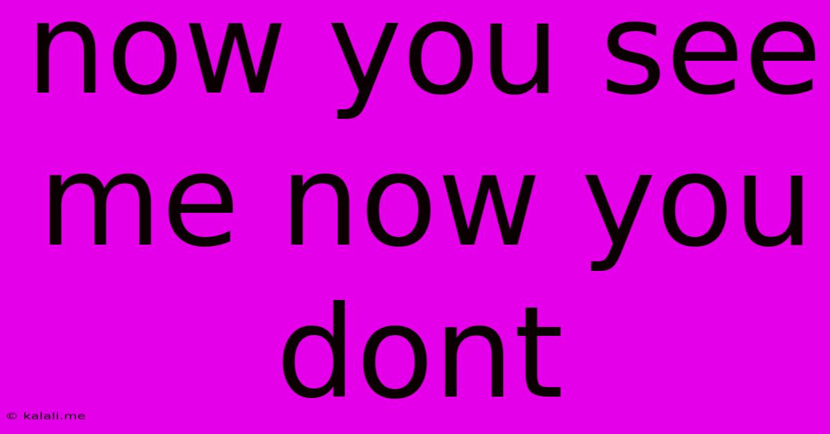 Now You See Me Now You Don't