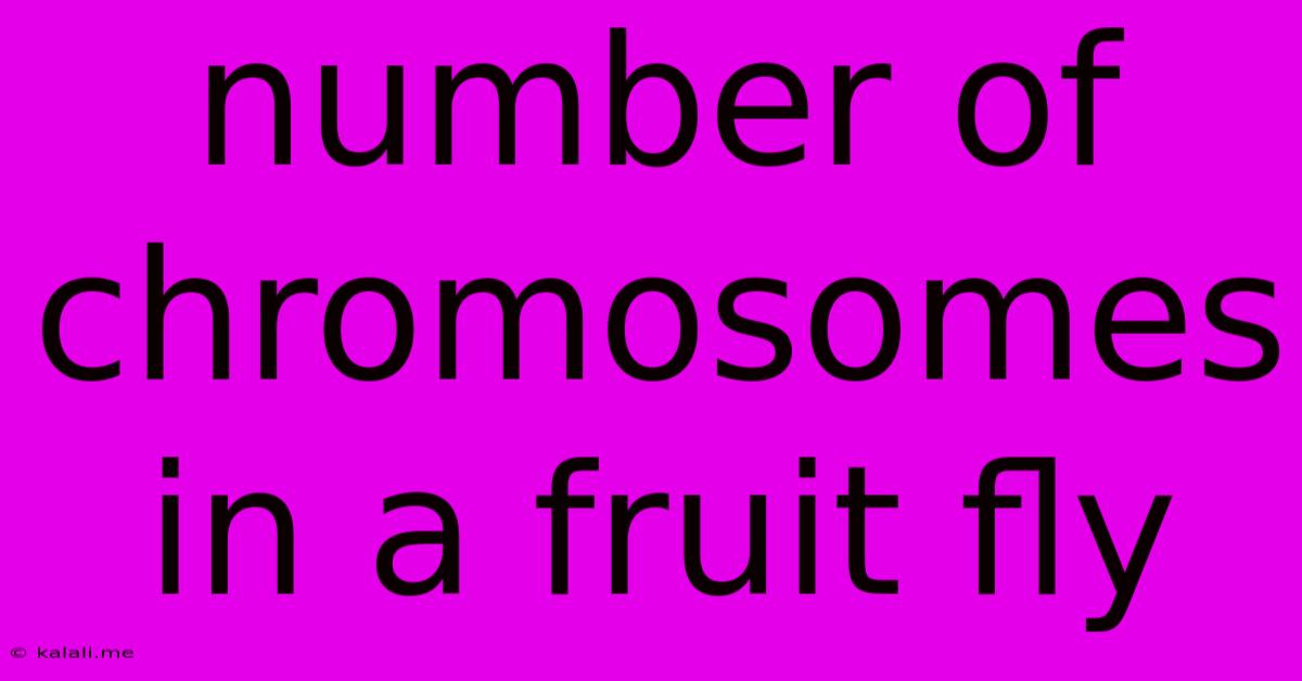 Number Of Chromosomes In A Fruit Fly
