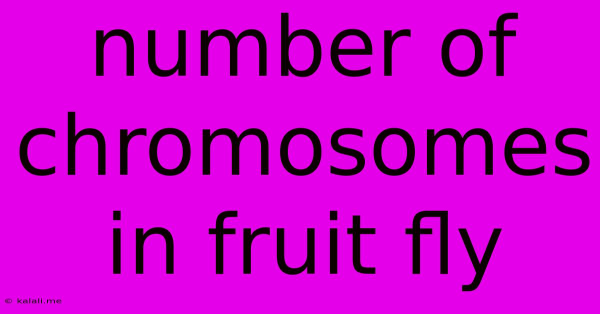 Number Of Chromosomes In Fruit Fly