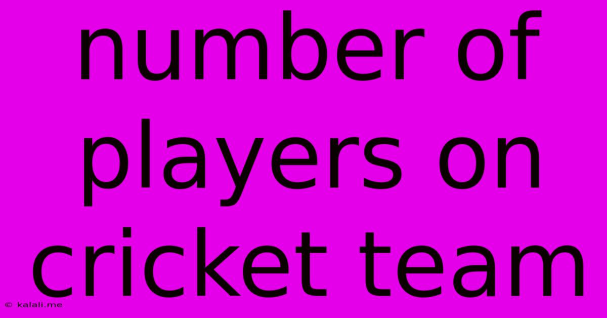 Number Of Players On Cricket Team