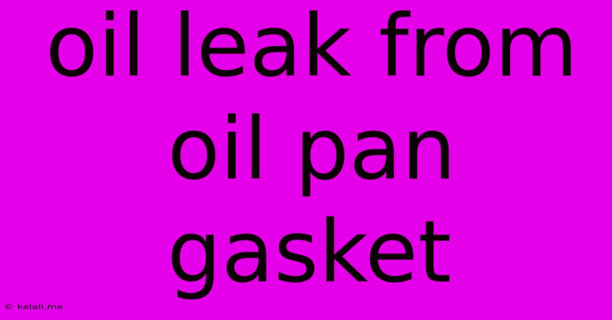 Oil Leak From Oil Pan Gasket