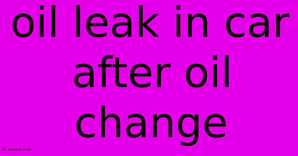 Oil Leak In Car After Oil Change