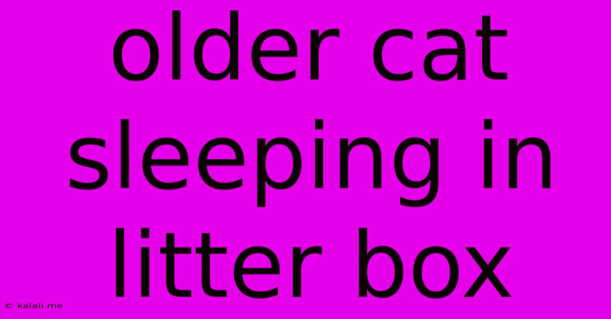 Older Cat Sleeping In Litter Box