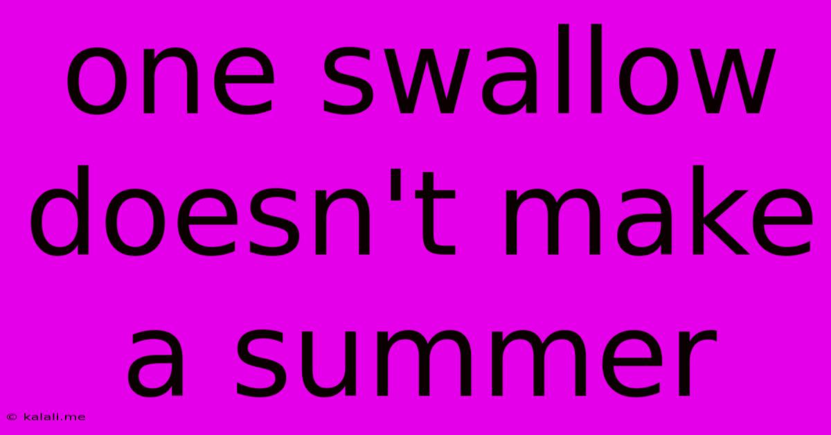One Swallow Doesn't Make A Summer