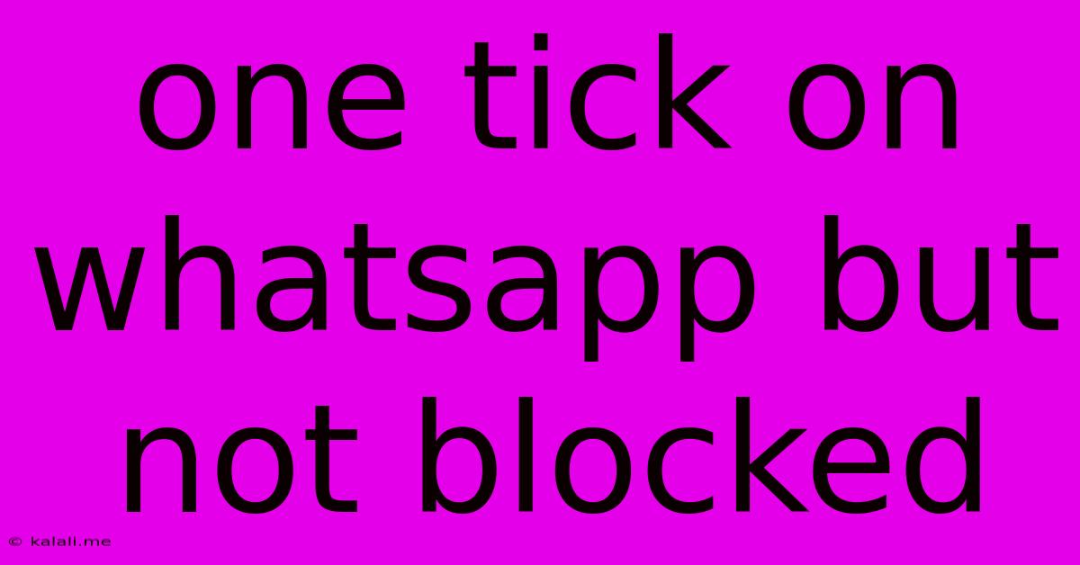 One Tick On Whatsapp But Not Blocked