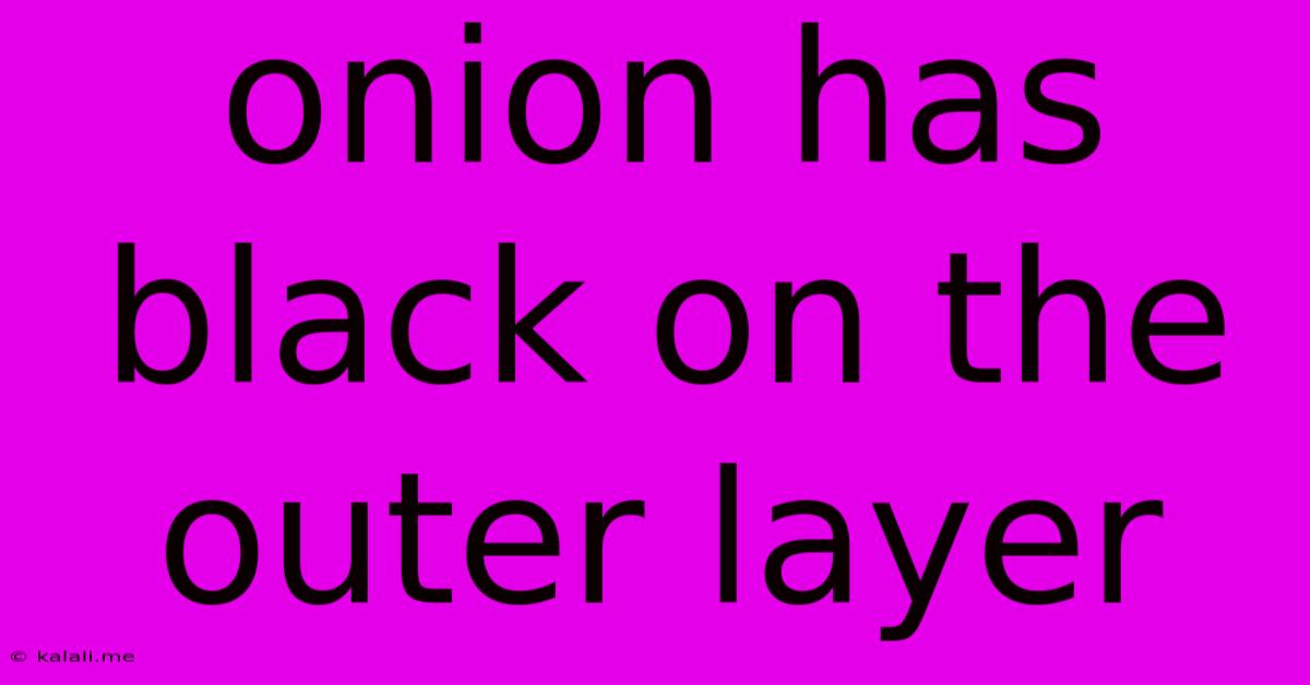 Onion Has Black On The Outer Layer