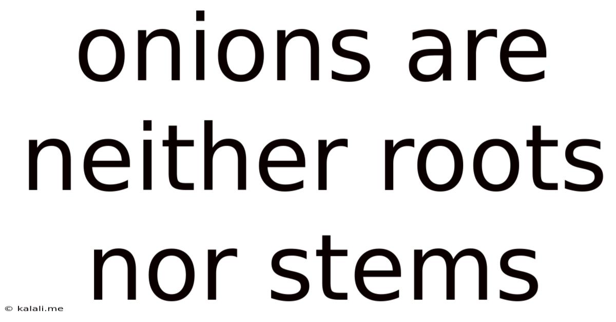 Onions Are Neither Roots Nor Stems