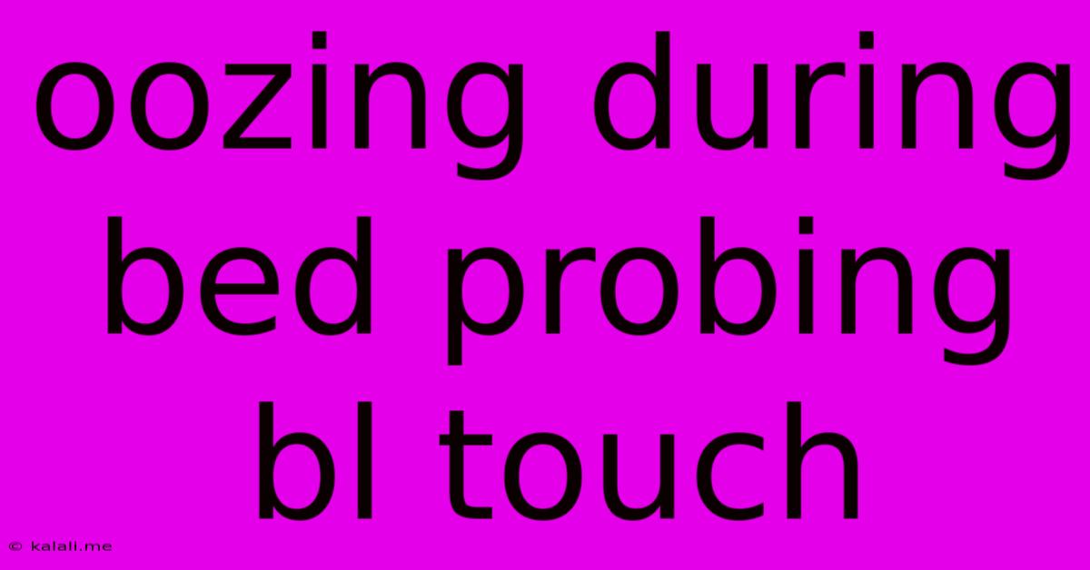 Oozing During Bed Probing Bl Touch