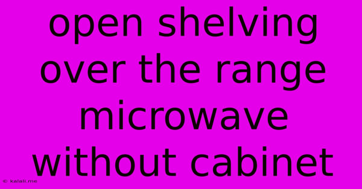 Open Shelving Over The Range Microwave Without Cabinet