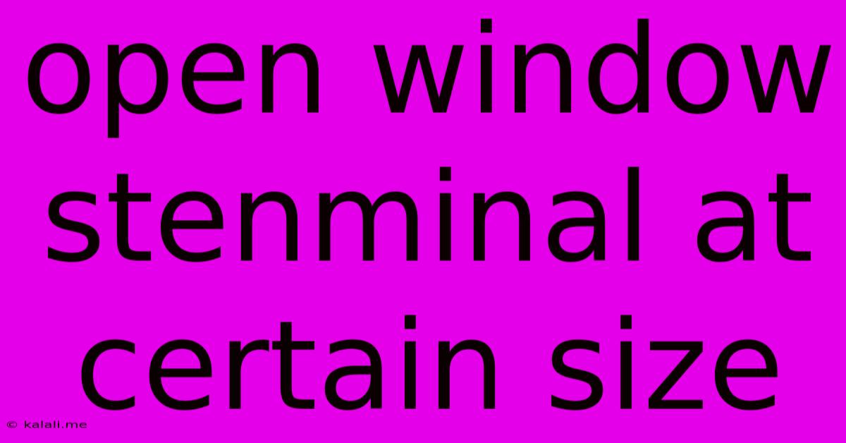 Open Window Stenminal At Certain Size