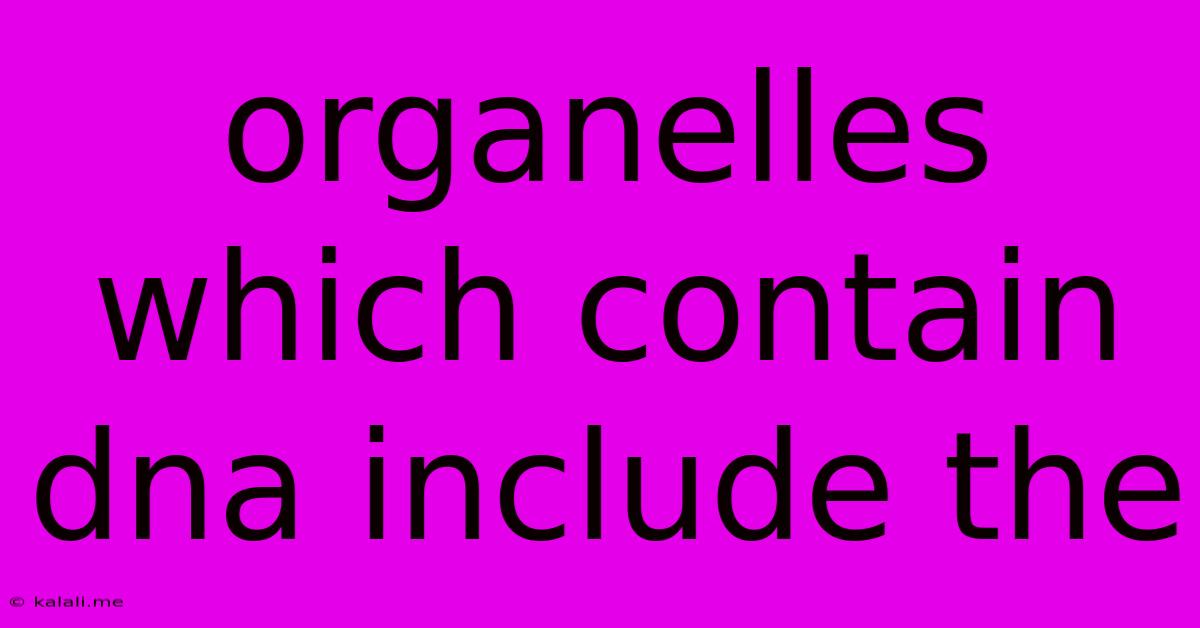 Organelles Which Contain Dna Include The
