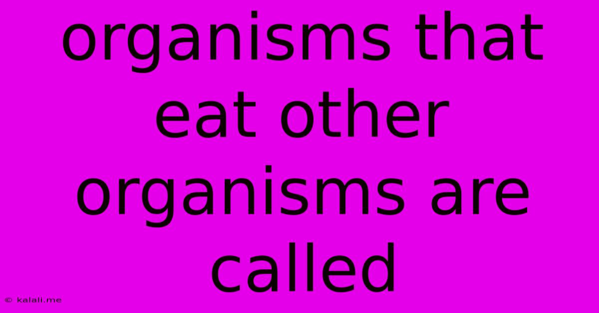 Organisms That Eat Other Organisms Are Called