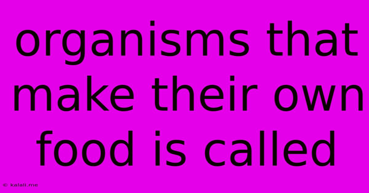 Organisms That Make Their Own Food Is Called