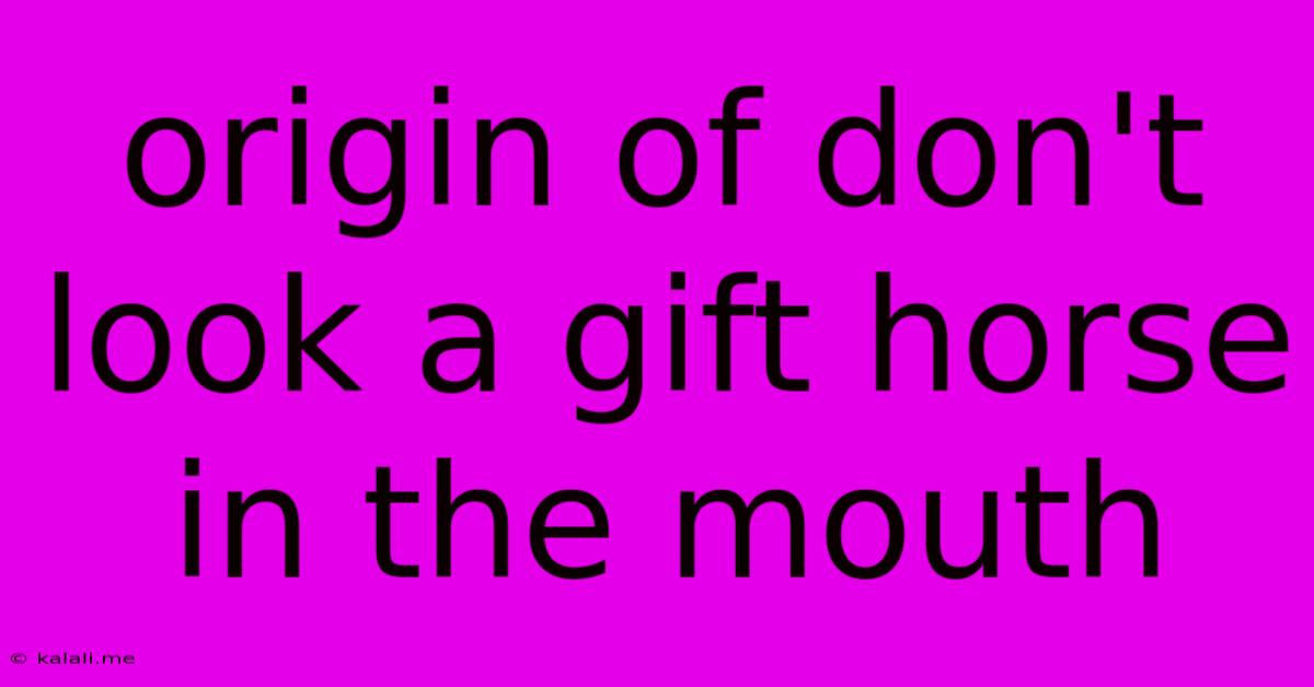 Origin Of Don't Look A Gift Horse In The Mouth