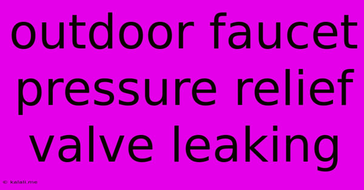 Outdoor Faucet Pressure Relief Valve Leaking