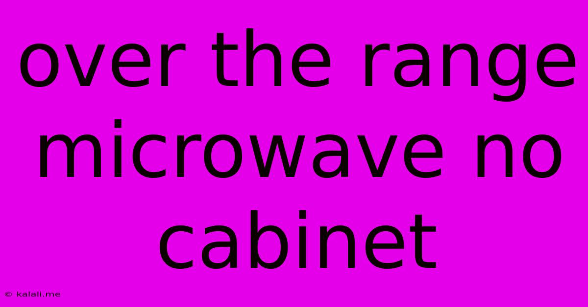 Over The Range Microwave No Cabinet
