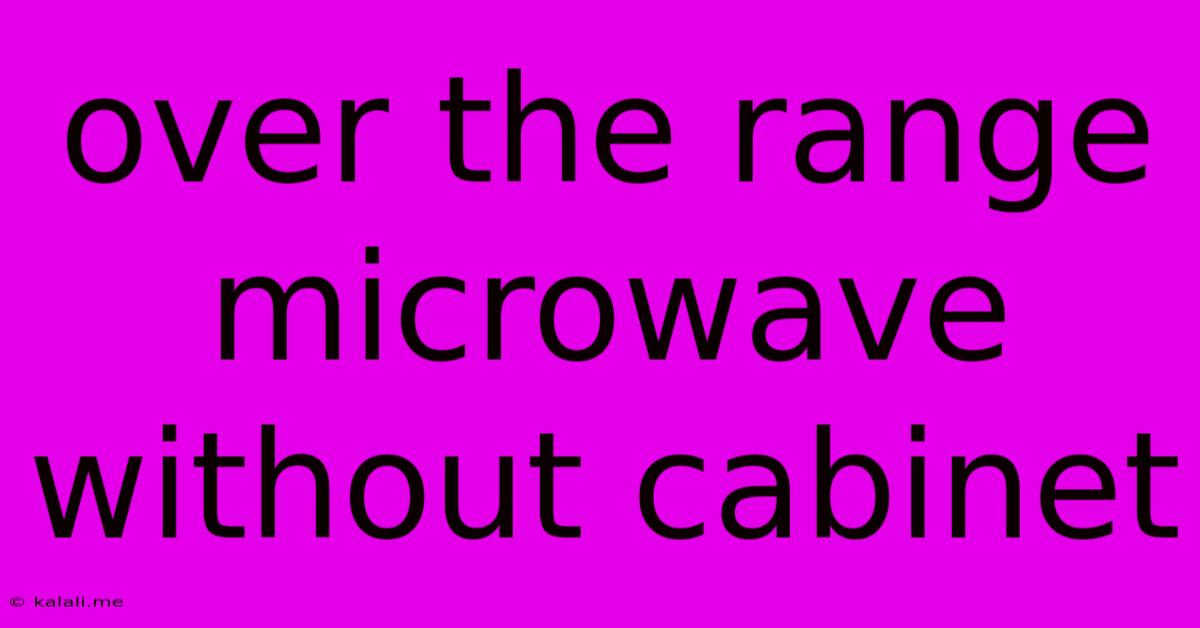 Over The Range Microwave Without Cabinet