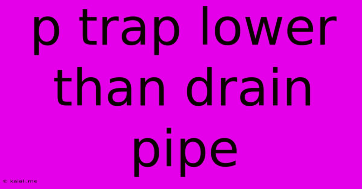 P Trap Lower Than Drain Pipe