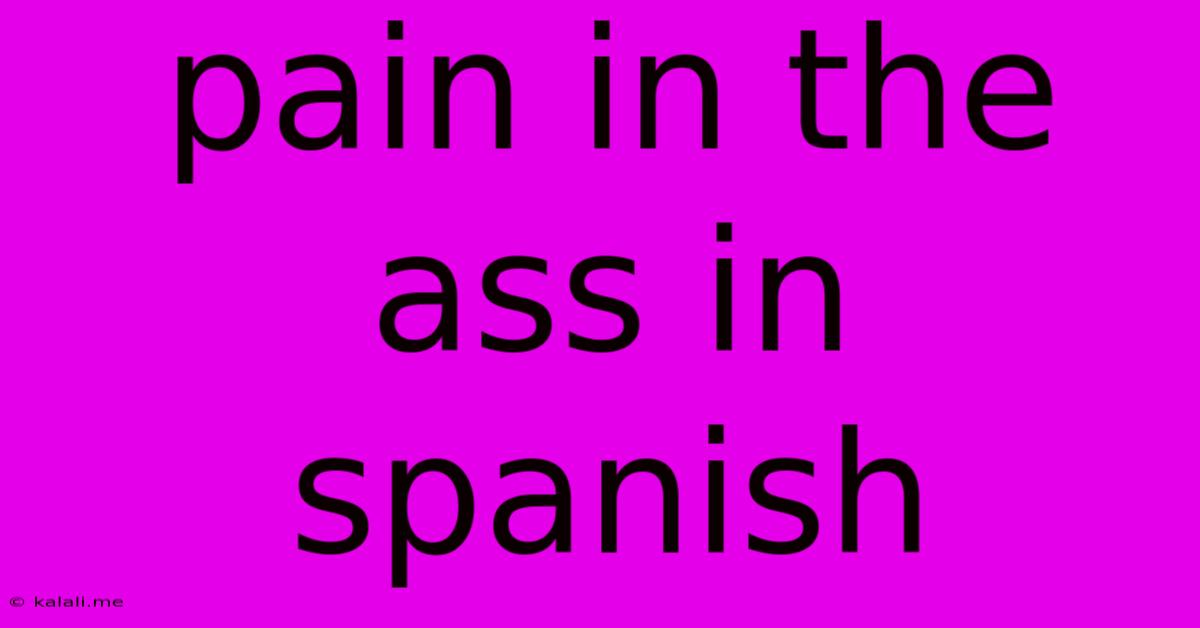 Pain In The Ass In Spanish