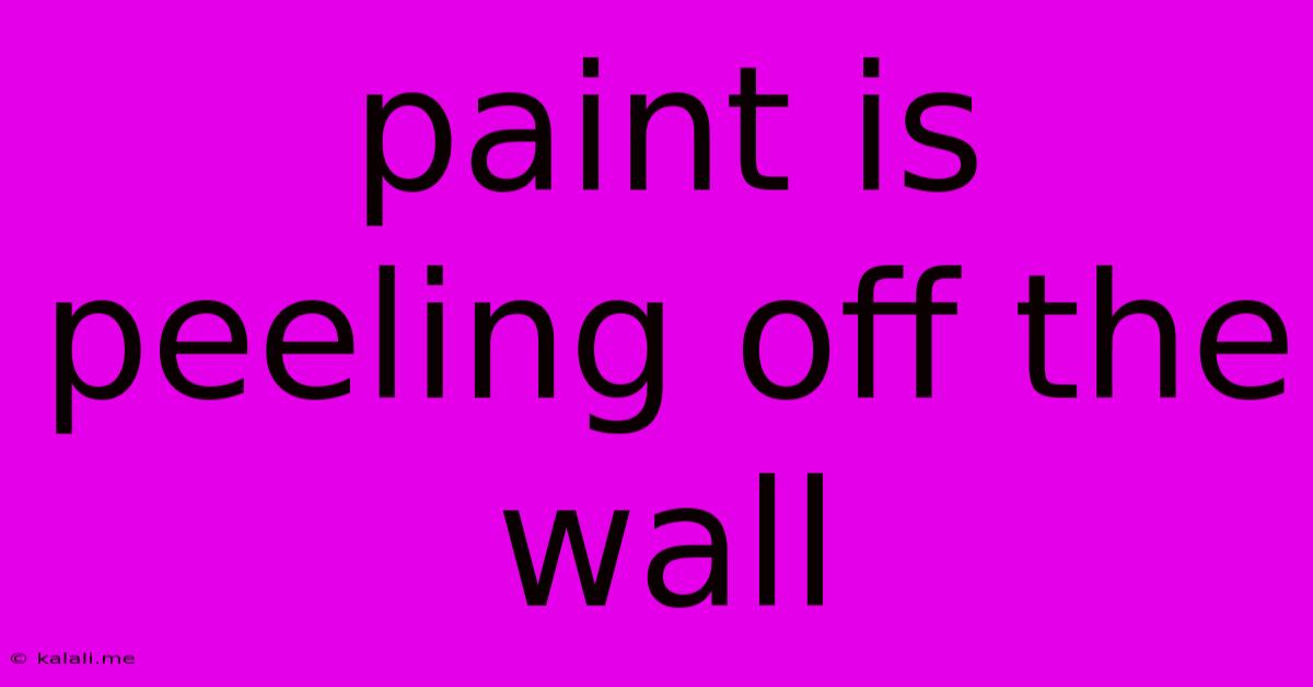 Paint Is Peeling Off The Wall