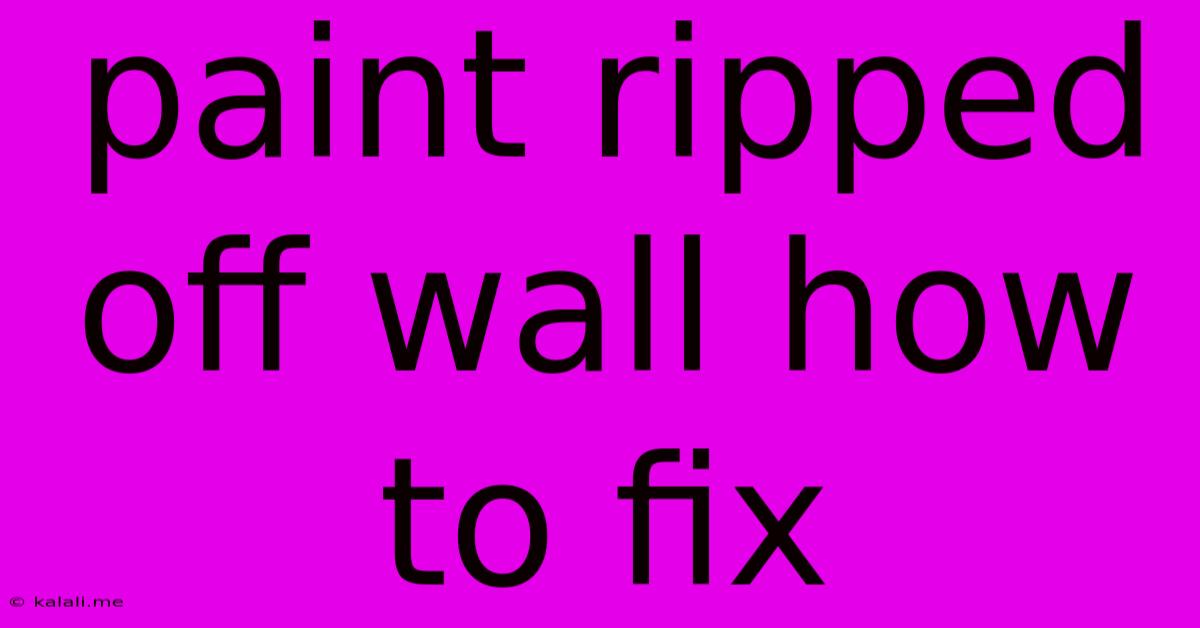 Paint Ripped Off Wall How To Fix