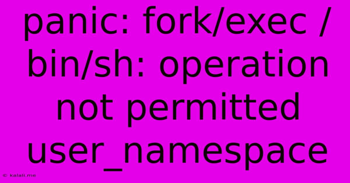 Panic: Fork/exec /bin/sh: Operation Not Permitted User_namespace