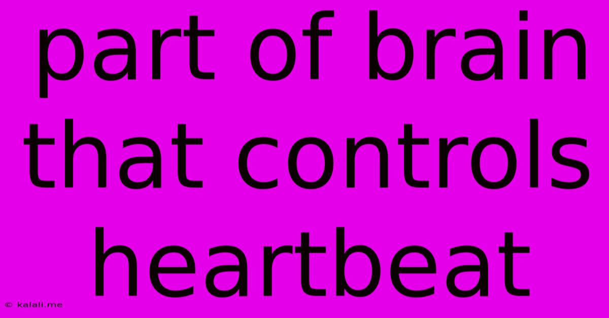 Part Of Brain That Controls Heartbeat