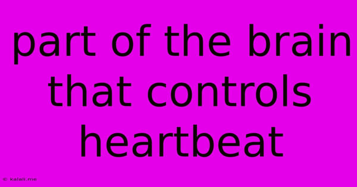 Part Of The Brain That Controls Heartbeat