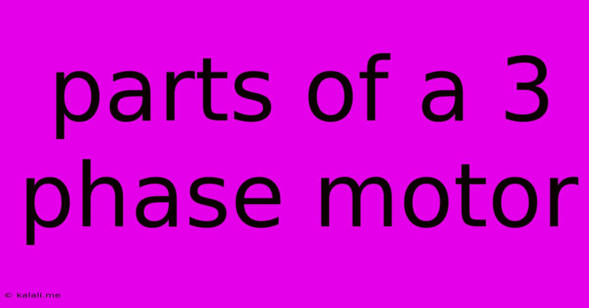 Parts Of A 3 Phase Motor