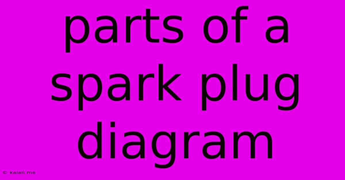 Parts Of A Spark Plug Diagram