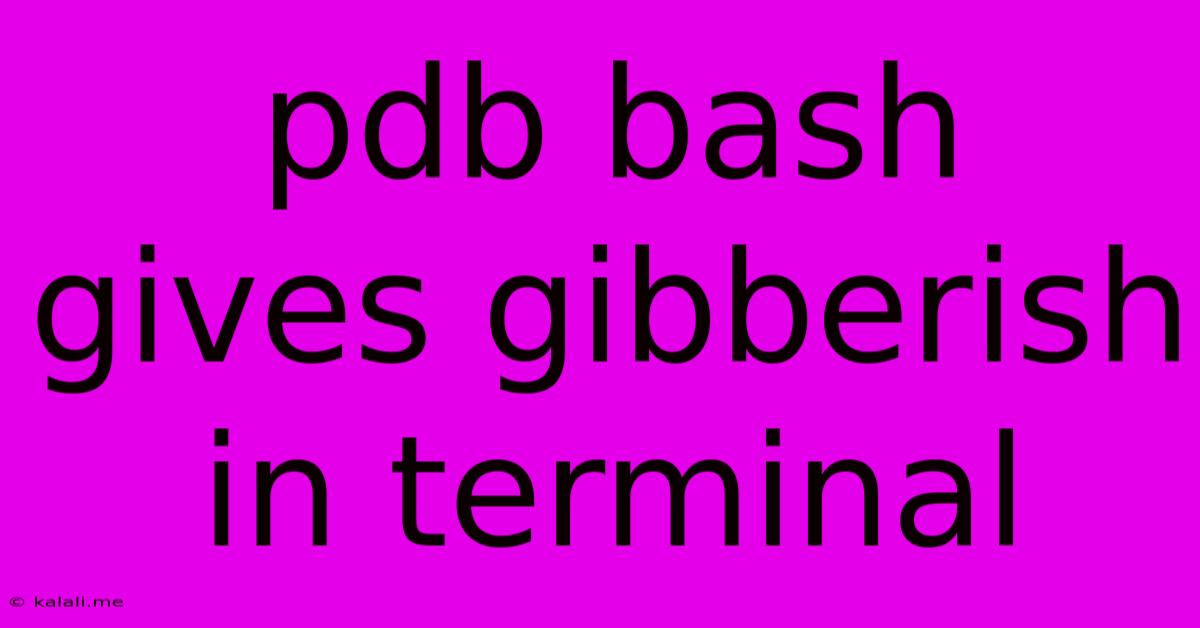 Pdb Bash Gives Gibberish In Terminal
