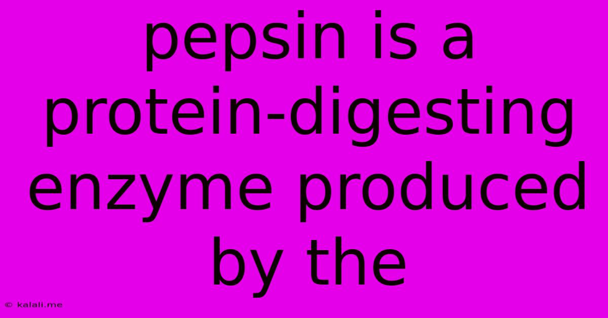 Pepsin Is A Protein-digesting Enzyme Produced By The