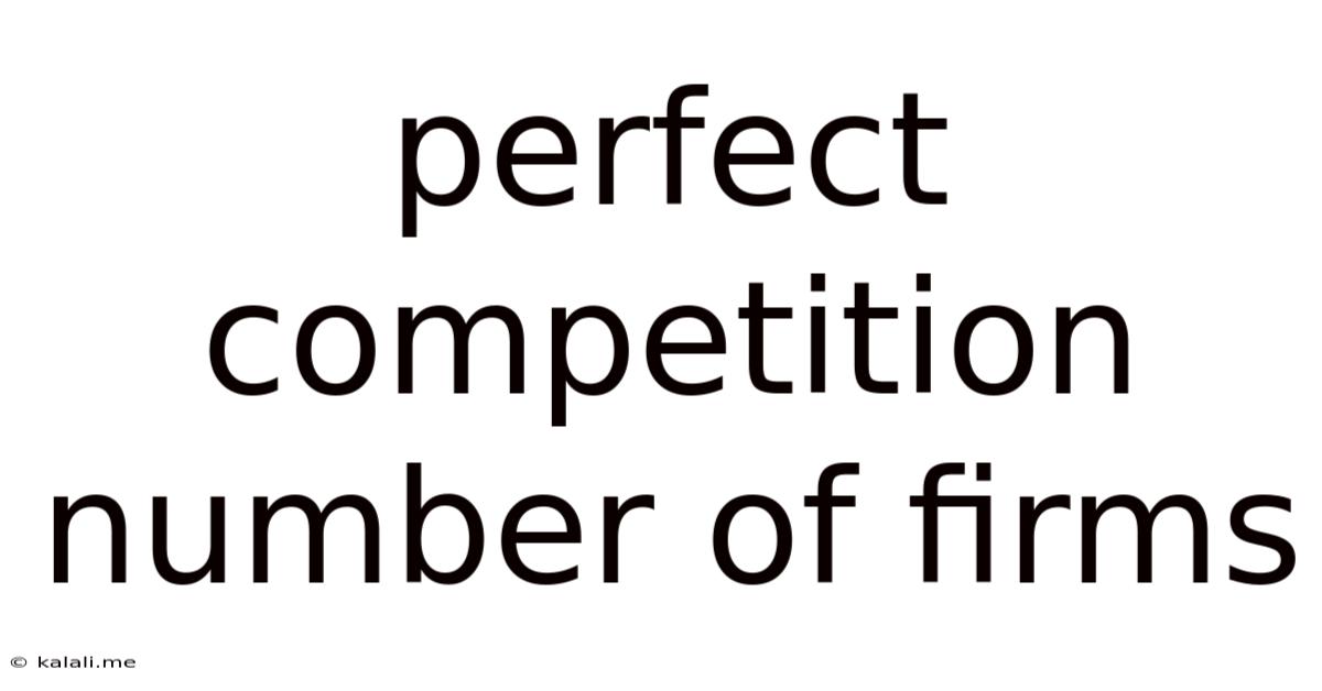 Perfect Competition Number Of Firms