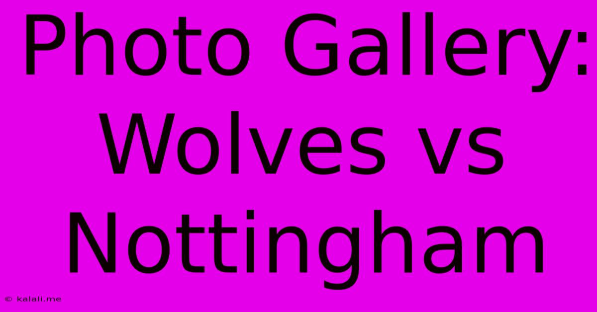 Photo Gallery: Wolves Vs Nottingham