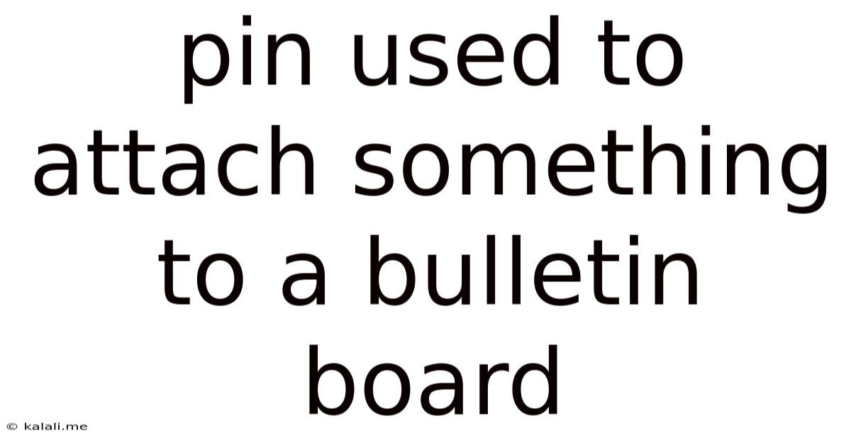 Pin Used To Attach Something To A Bulletin Board