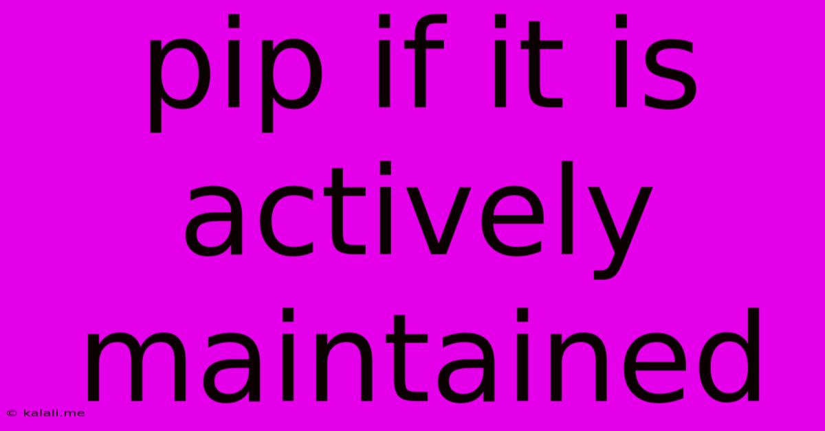 Pip If It Is Actively Maintained