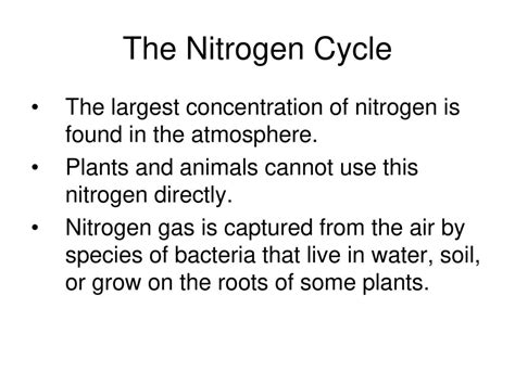 Plants And Animals Cannot Use Nitrogen Directly From The Air