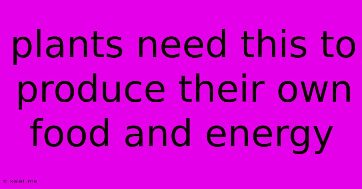 Plants Need This To Produce Their Own Food And Energy