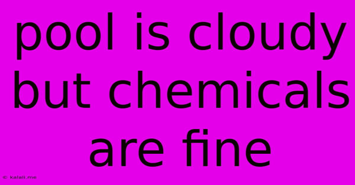 Pool Is Cloudy But Chemicals Are Fine