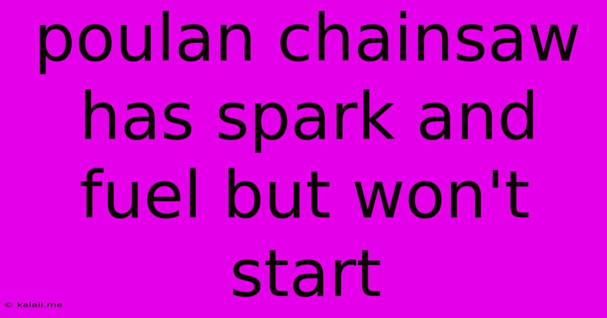 Poulan Chainsaw Has Spark And Fuel But Won't Start