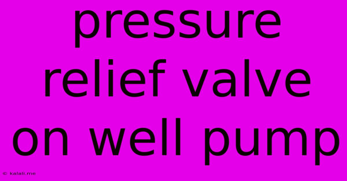 Pressure Relief Valve On Well Pump