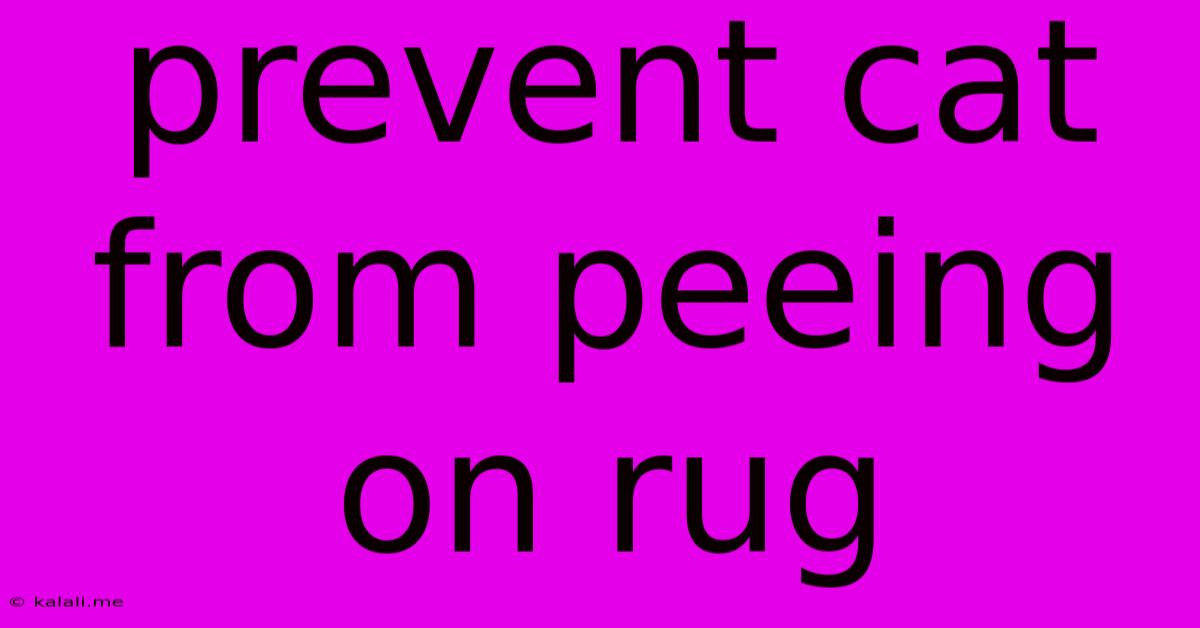 Prevent Cat From Peeing On Rug