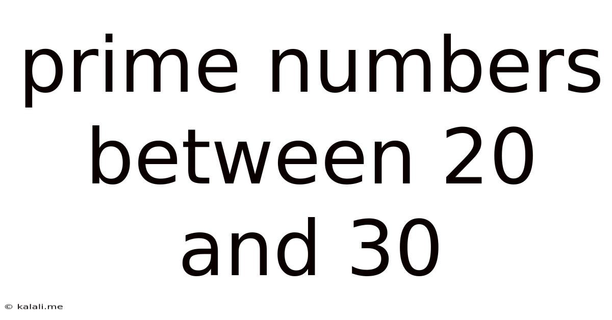 Prime Numbers Between 20 And 30