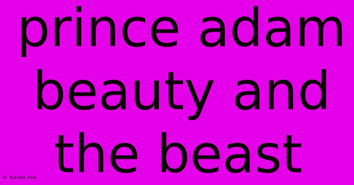 Prince Adam Beauty And The Beast