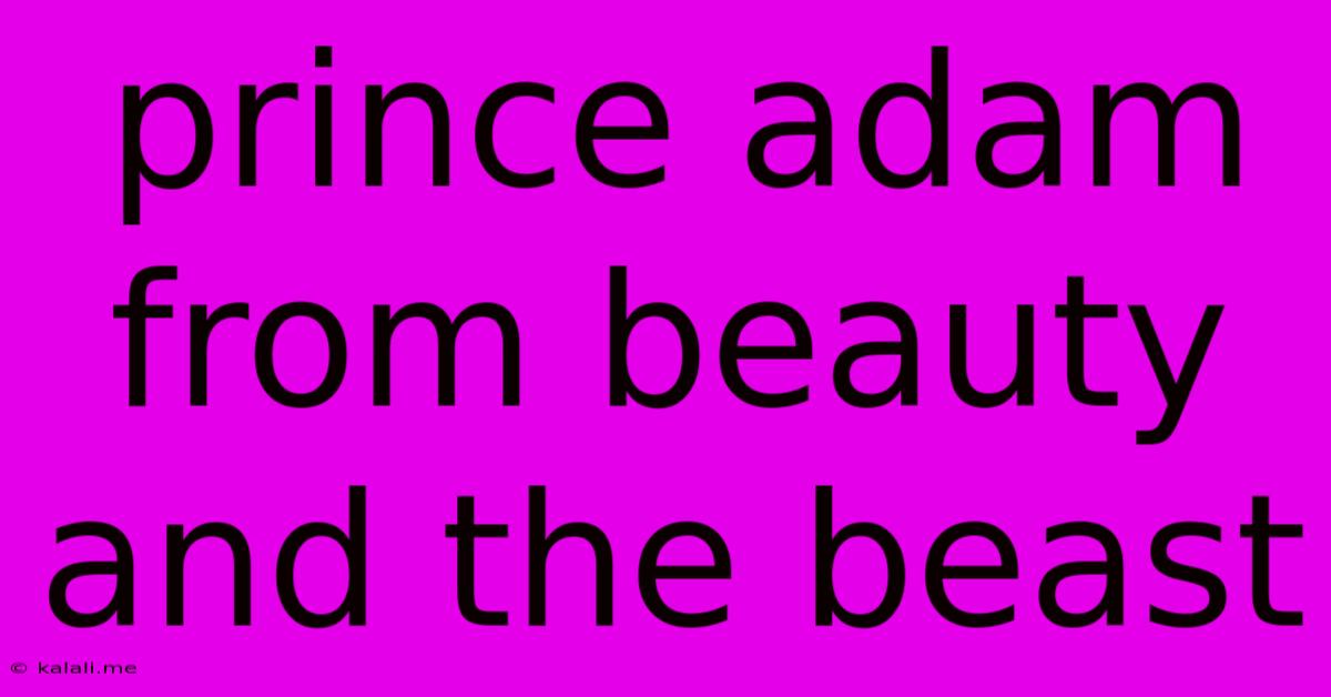 Prince Adam From Beauty And The Beast